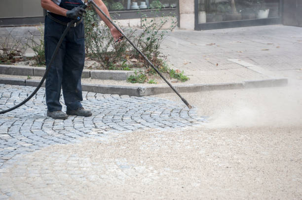 Best Building Exterior Washing  in Greenville, IN